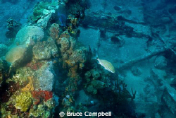 Hull of the RMS Rhone by Bruce Campbell 